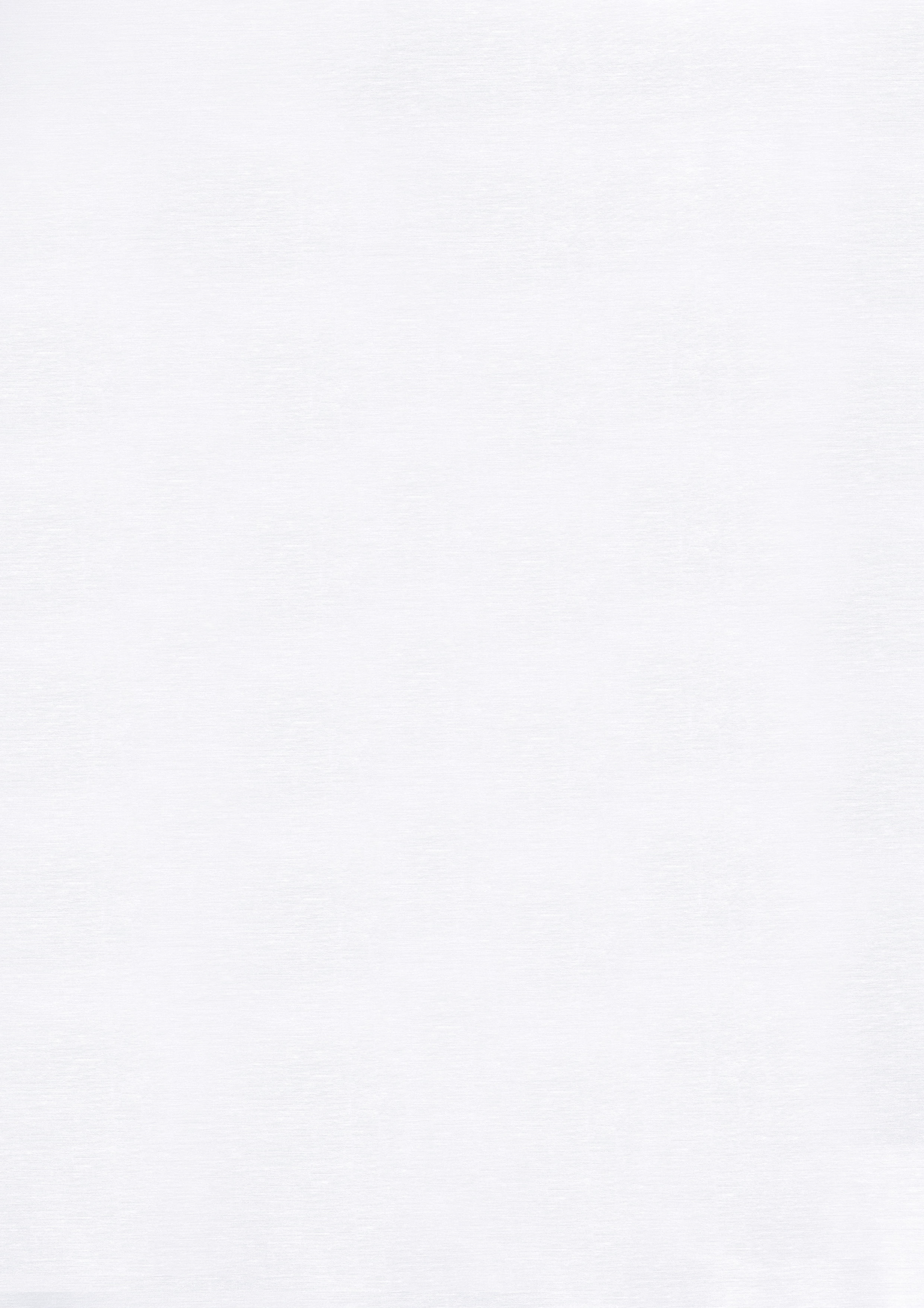 Schiebevorhang Valentin 60 x 245 cm – Zeitlose Web-Struktur für vielseitige Fensterdekorationen